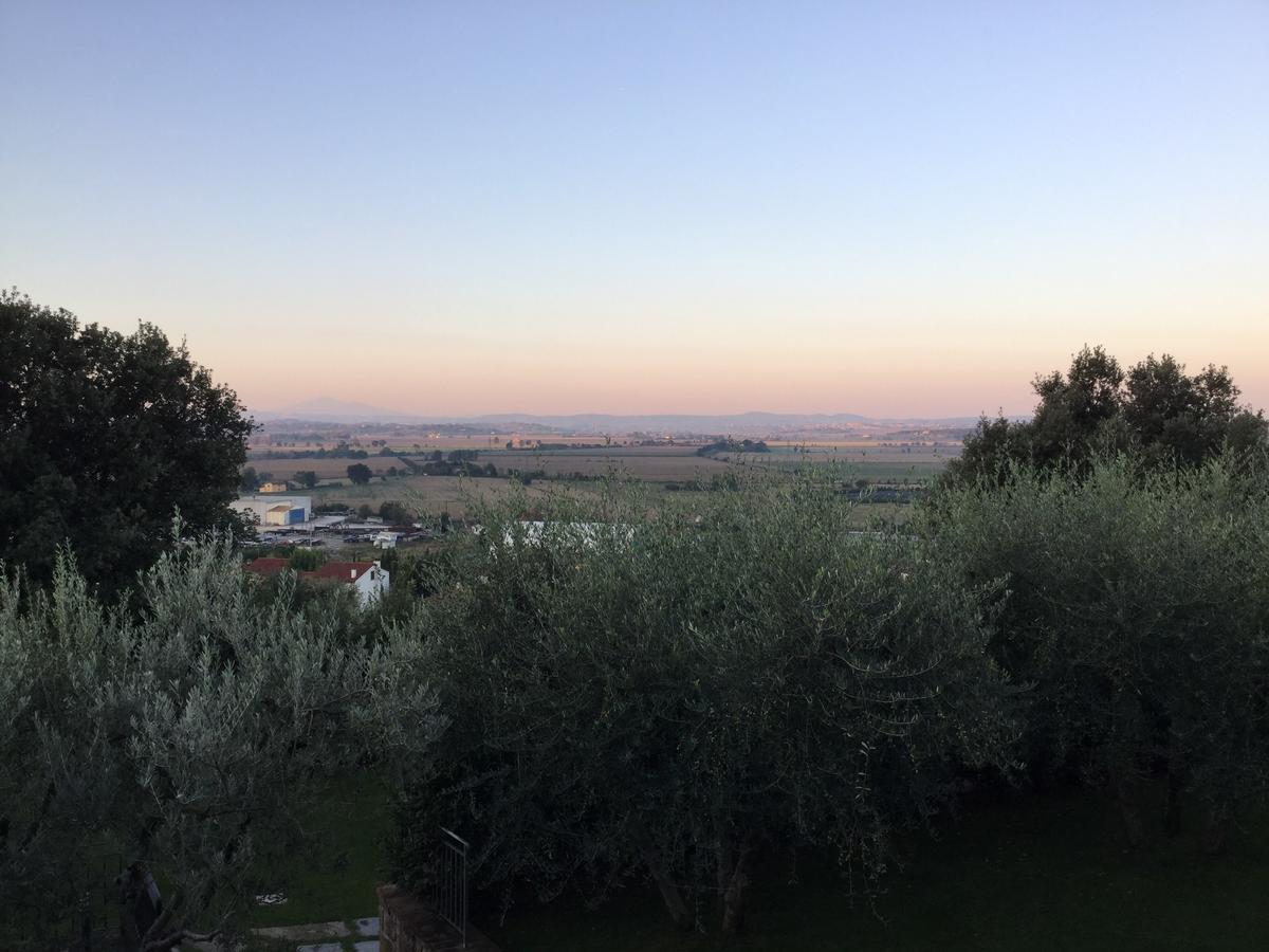 Agriturismo Borgo Tra Gli Olivi Castiglion Fiorentino Exteriör bild