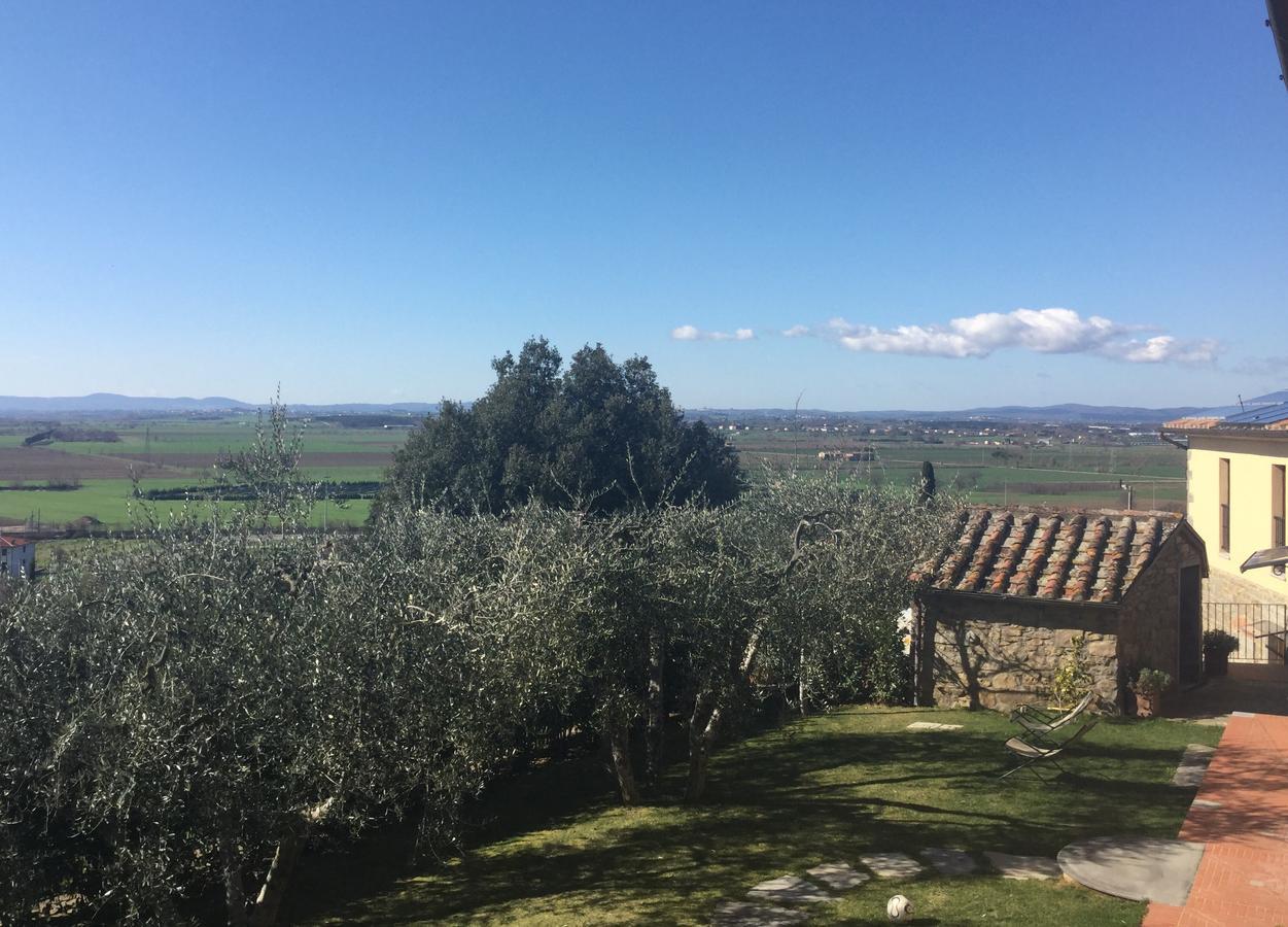 Agriturismo Borgo Tra Gli Olivi Castiglion Fiorentino Exteriör bild