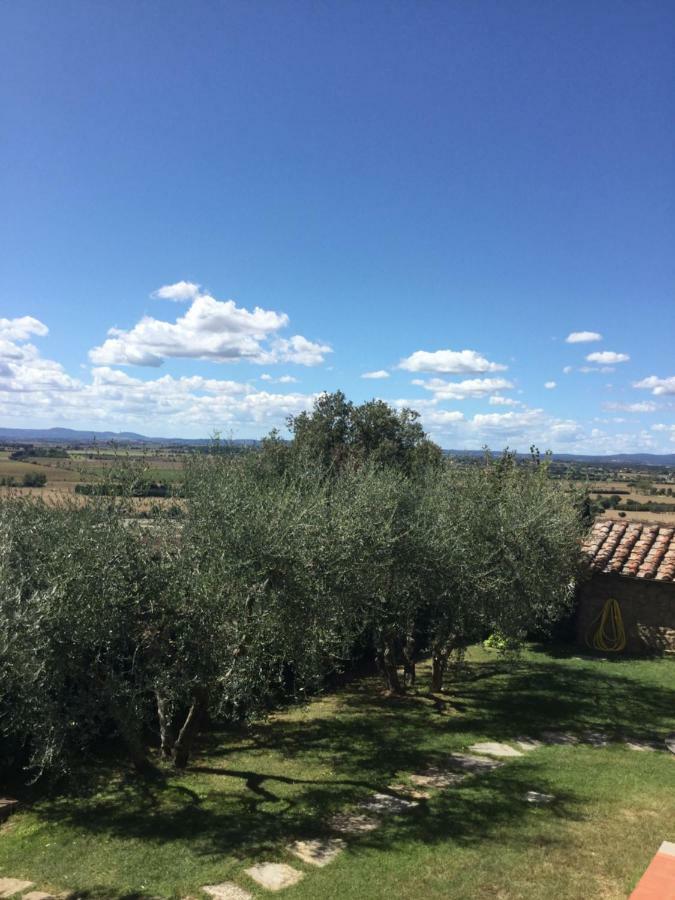 Agriturismo Borgo Tra Gli Olivi Castiglion Fiorentino Exteriör bild
